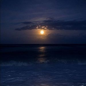 Meet your Posher, Ana